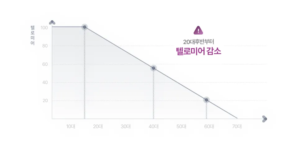 얼굴 노화의 원인 그래프 이미지